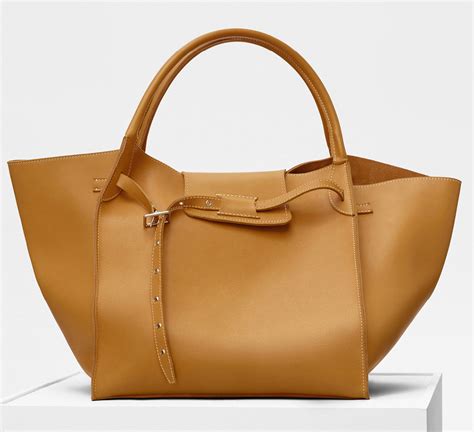 bethennys celine bag|celine purses for women.